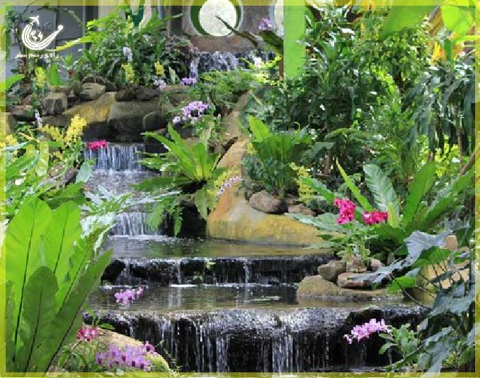 باغ پروانه ها و دنیای حشرات پوکت