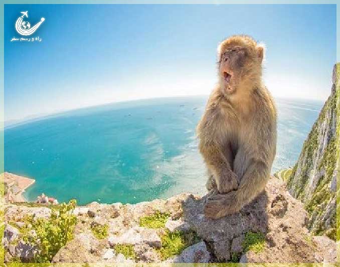 ساحل میمون پنانگ