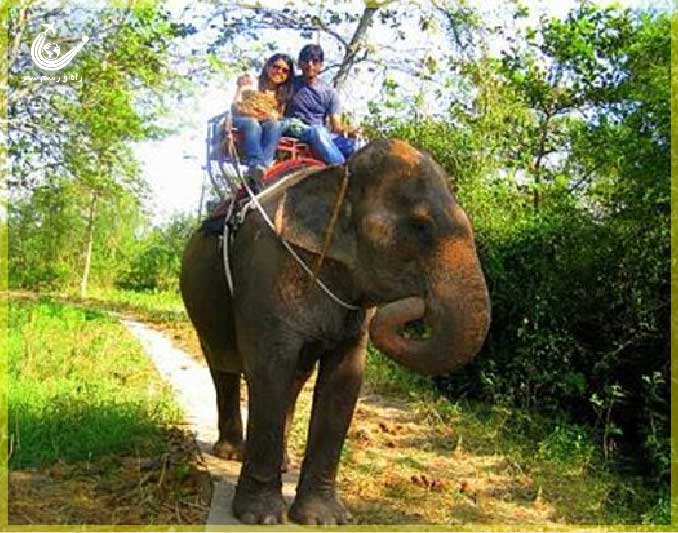 دهکده-فیل-پاتایا-تایلند