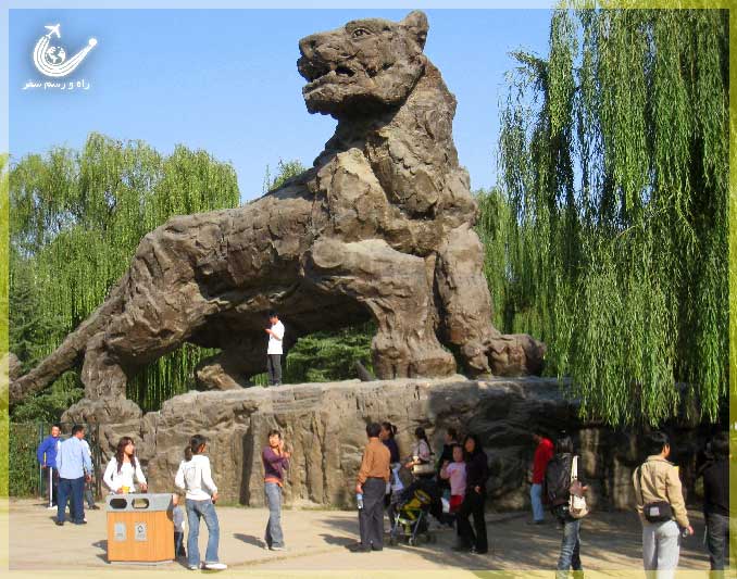 باغ-وحش-پکن-چین